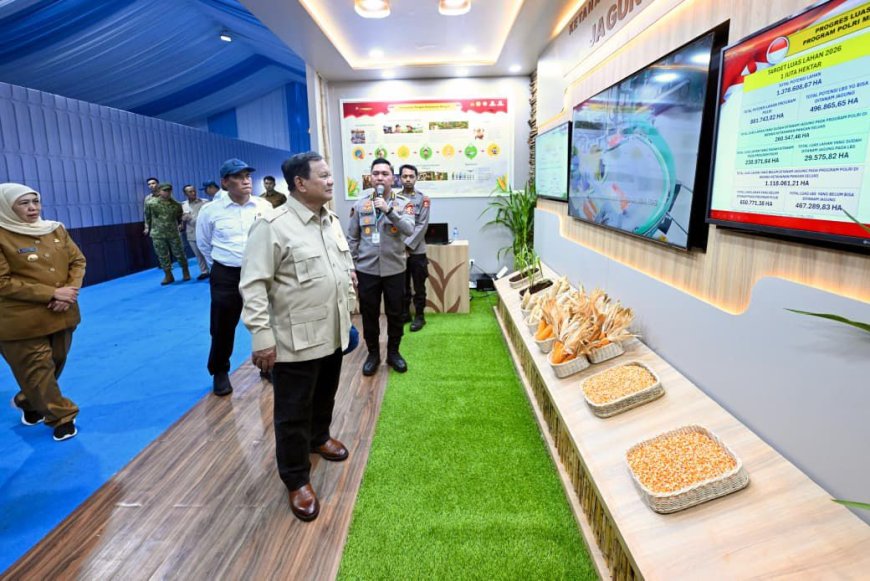 Cadangan Beras 5,3 Juta Ton Perkuat Optimisme Nasional